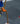 DMM - Mantis - Orange